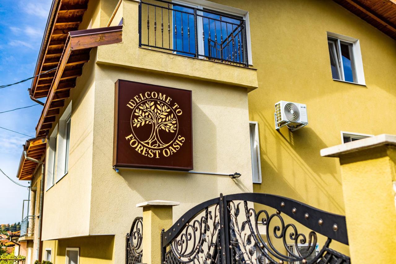 Forest Oasis Guest House Free Parking 사파레바바냐 외부 사진